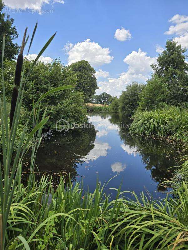 propriété de charme à la campagne - cadre exceptionnel avec etang - photo 20