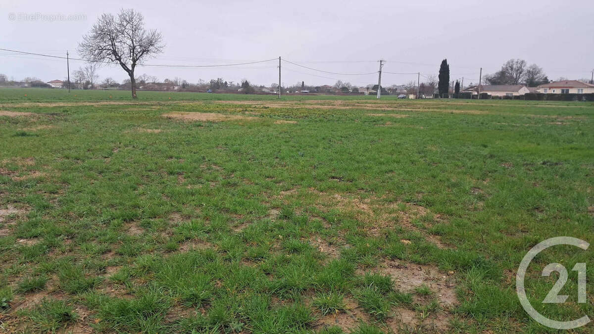 Terrain à LAFITTE-VIGORDANE