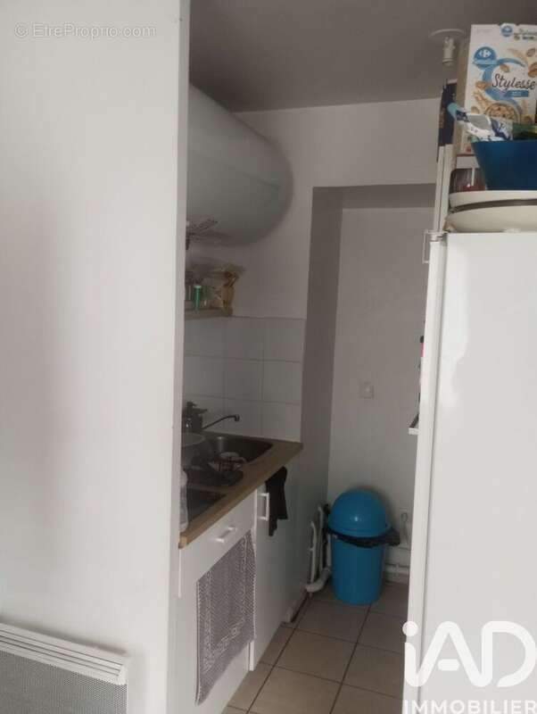 Photo 5