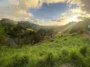 Terrain à SAINT-ESPRIT