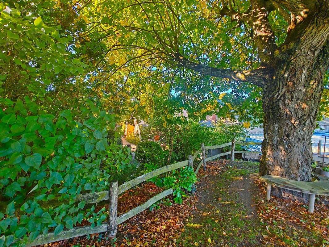 Photo 4 - Maison à BAUGE