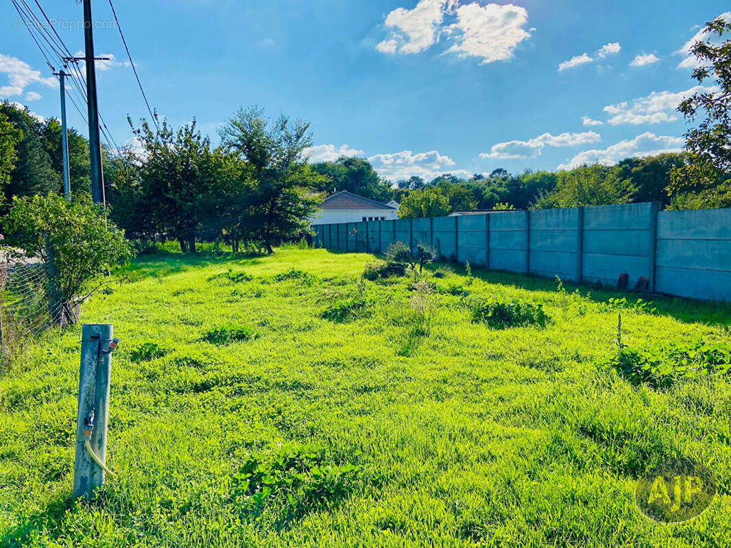 Maison à SAINT-GERMAIN-D'ESTEUIL