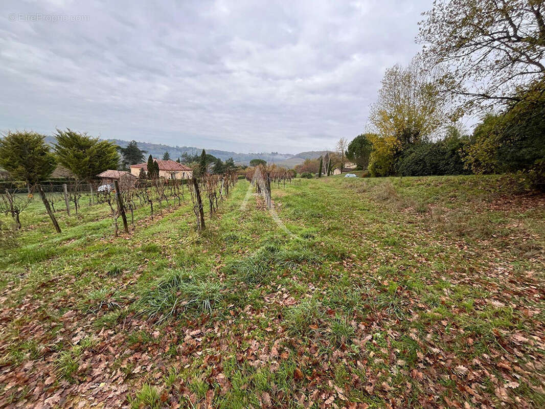 Terrain à PRAYSSAC