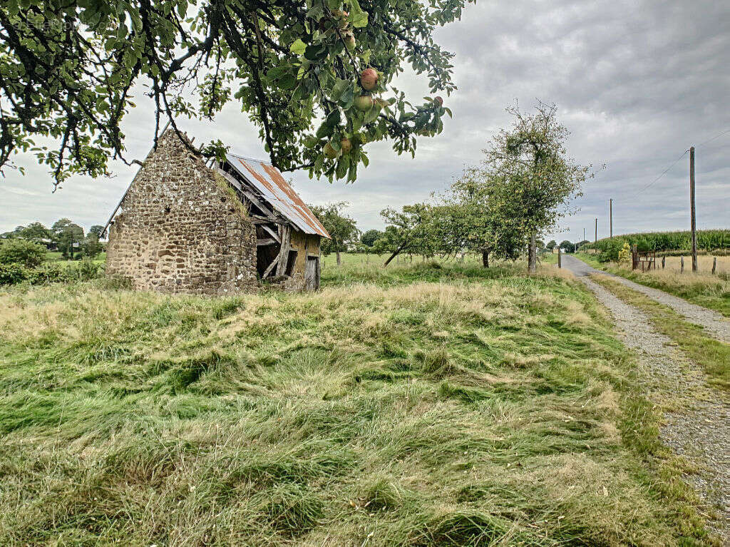 Maison à JUVIGNY-LE-TERTRE