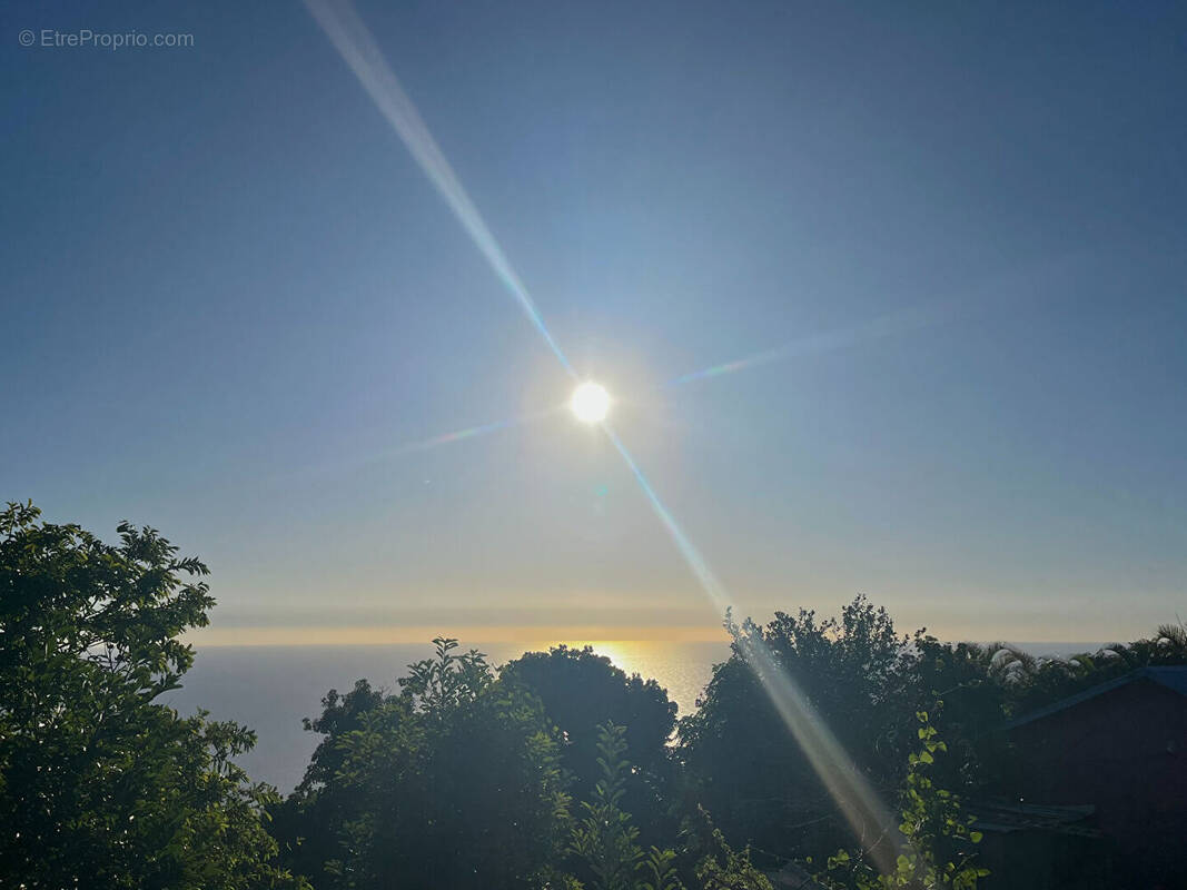 Terrain à SAINT-LEU