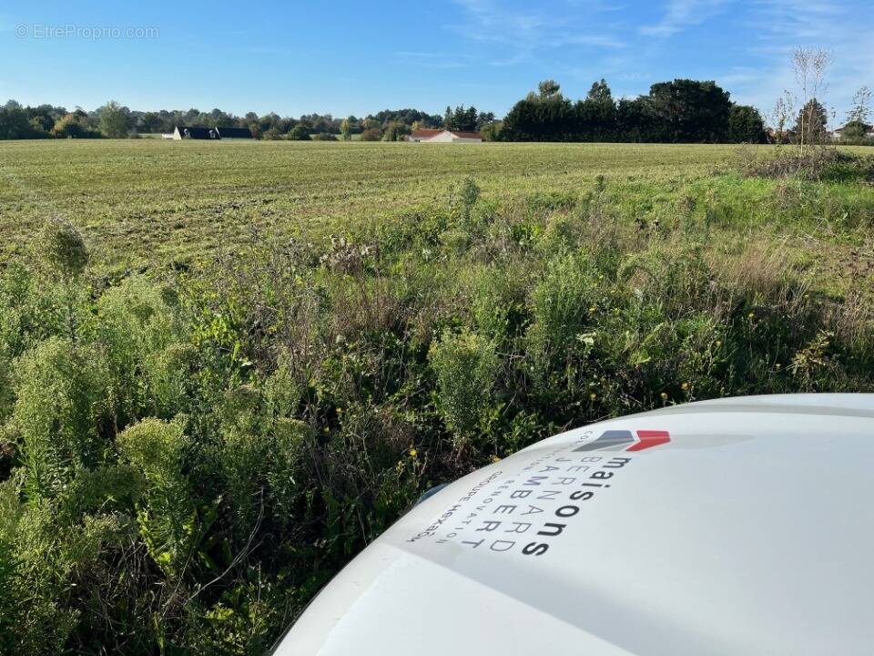 Terrain à LE MAY-SUR-EVRE