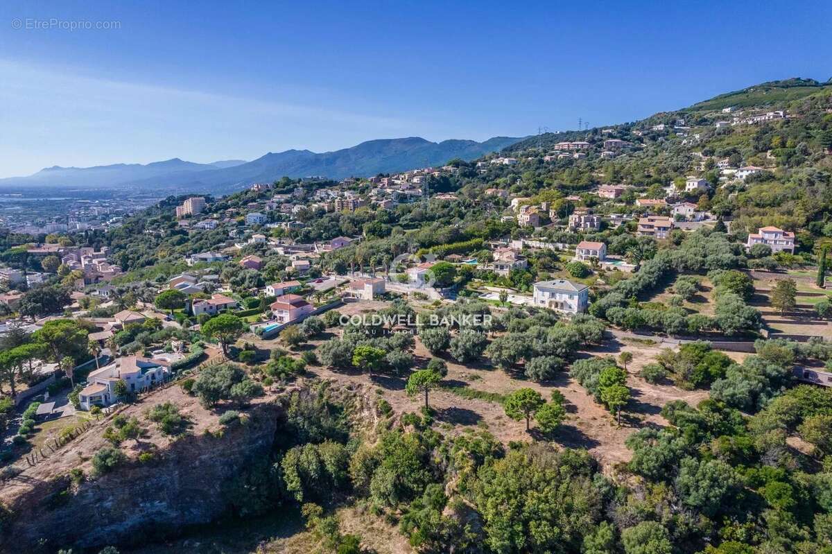 Terrain à SAN-MARTINO-DI-LOTA
