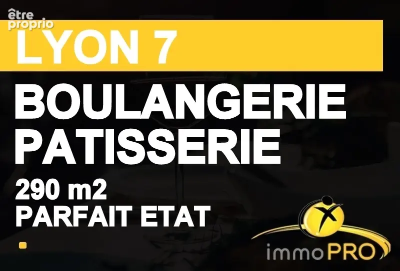 Commerce à LYON-7E