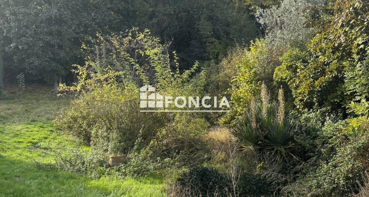 Terrain à VILLENNES-SUR-SEINE