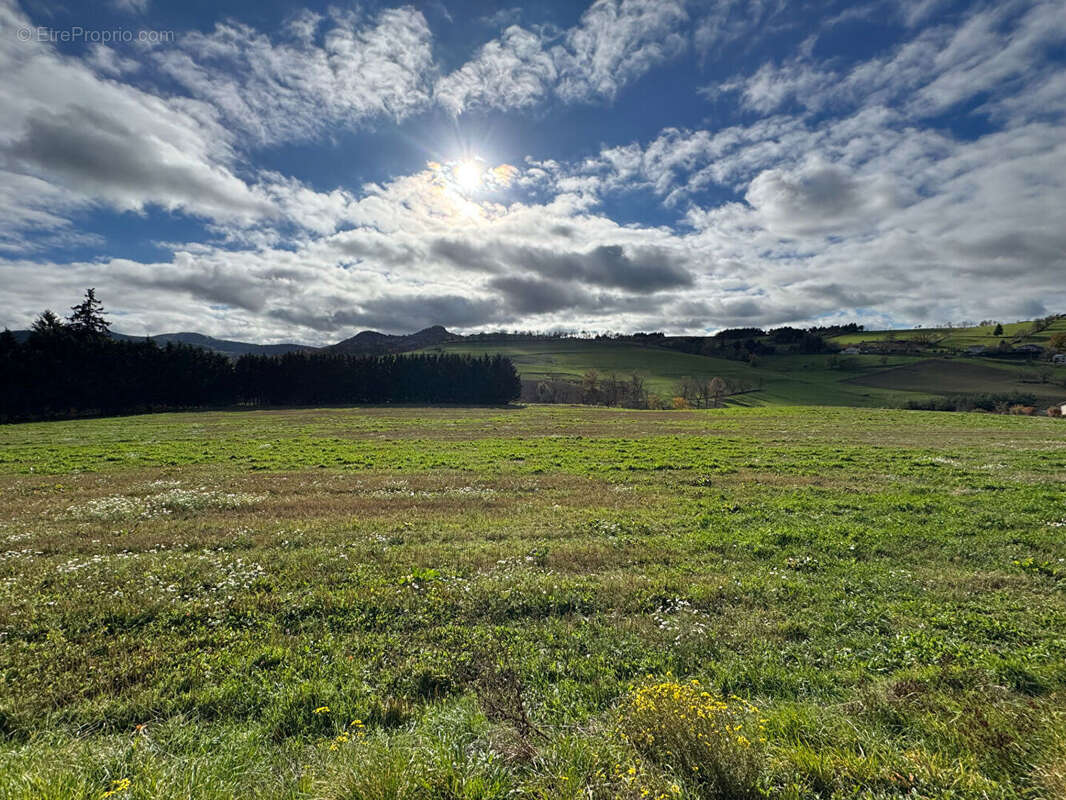 Maison à YSSINGEAUX