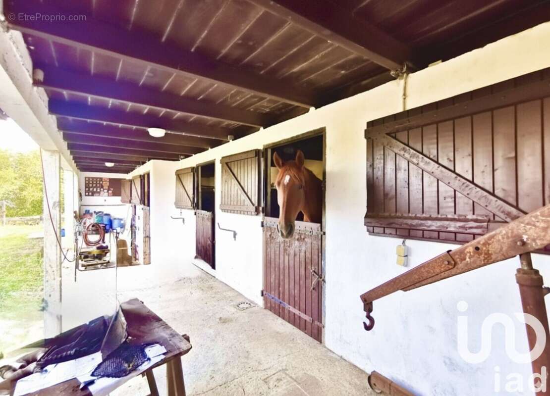 Photo 5 - Maison à VILLEFRANQUE