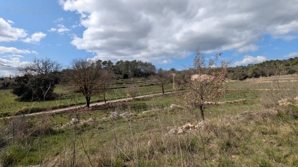 Terrain à CARCES