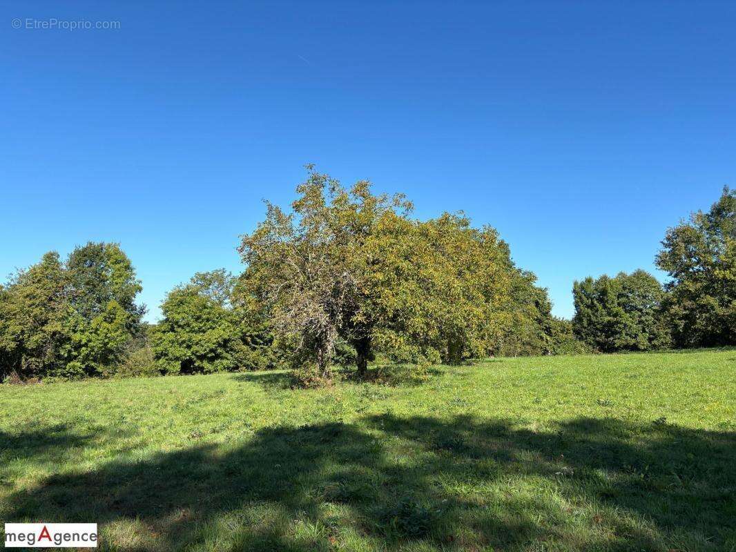 Terrain à SAINT-GERMAIN-LES-VERGNES