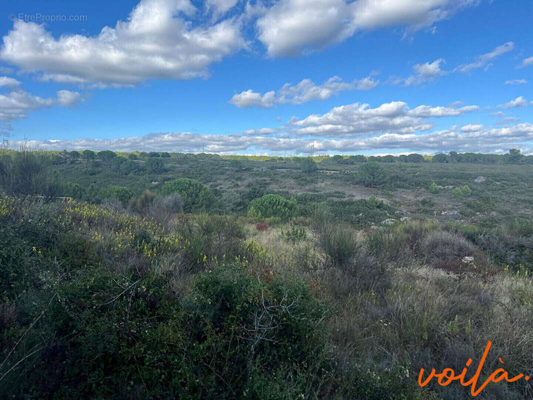 Terrain à CARCASSONNE
