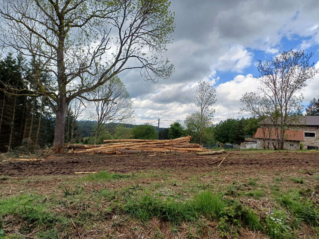 Terrain à TENCE