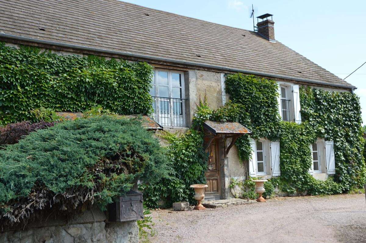 Propriété avec 2 maisons, dépendances et terrain sans vis-à-vis Montmort 260 m2 - photo 6