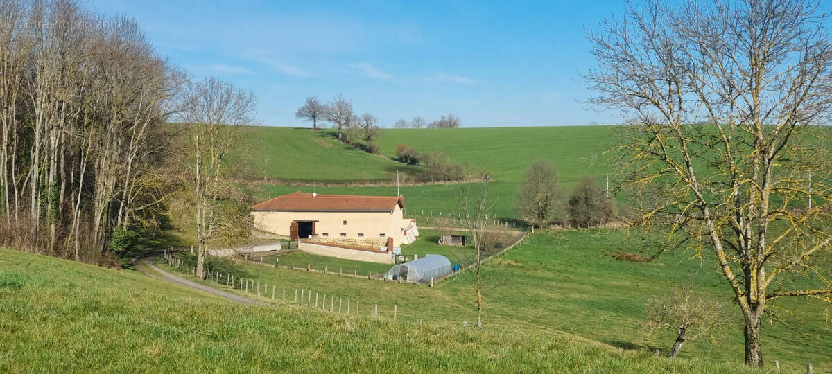 Maison à VIRIGNEUX