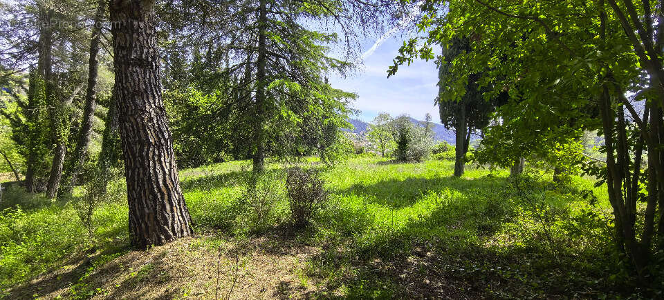 Terrain à TOURRETTE-LEVENS