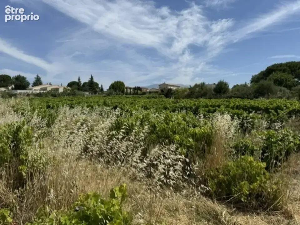 Terrain 927 m² à vendre à Mazan (84380) - photo 4