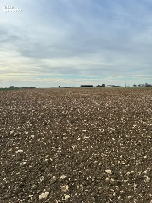Terrain 281 m² à vendre à Angliers (17540) - photo 4