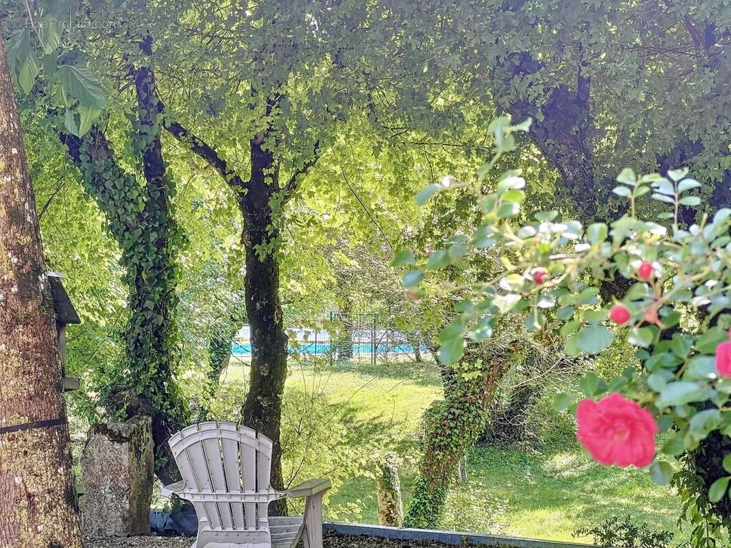 Une Vie au Calme Tournée sur la Nature - Proche Saintes - Propriété unique - - photo 9