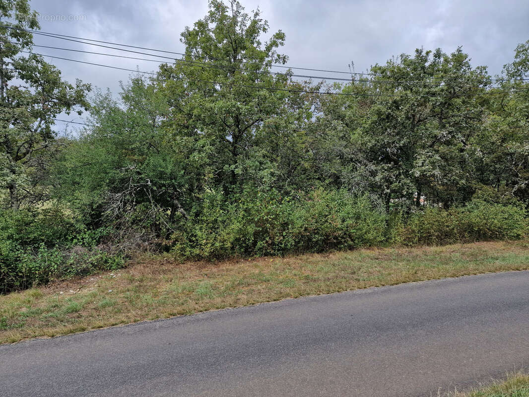 Terrain à NADAILLAC