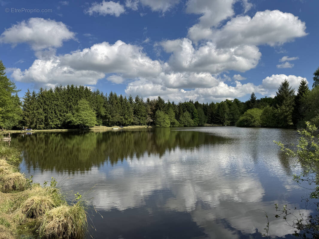 Terrain à LORMES
