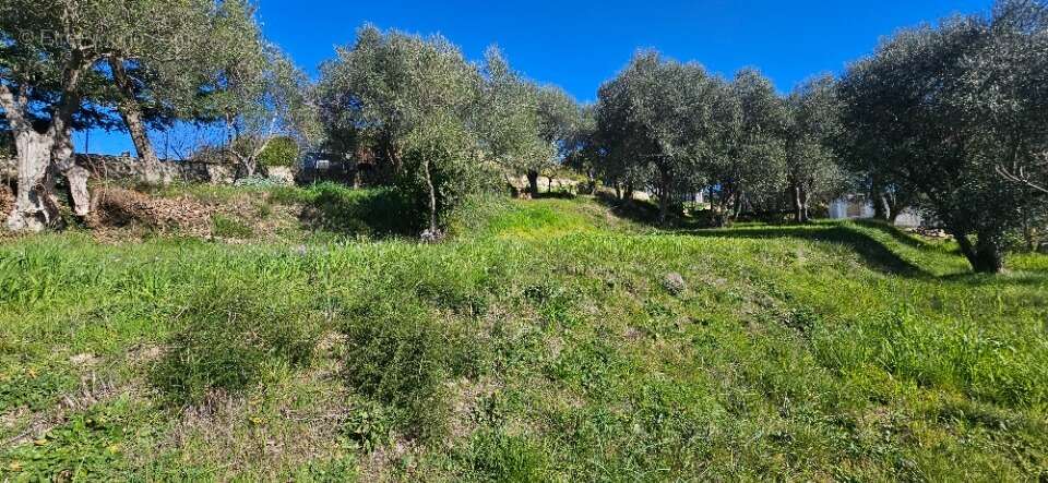 Terrain à GRASSE