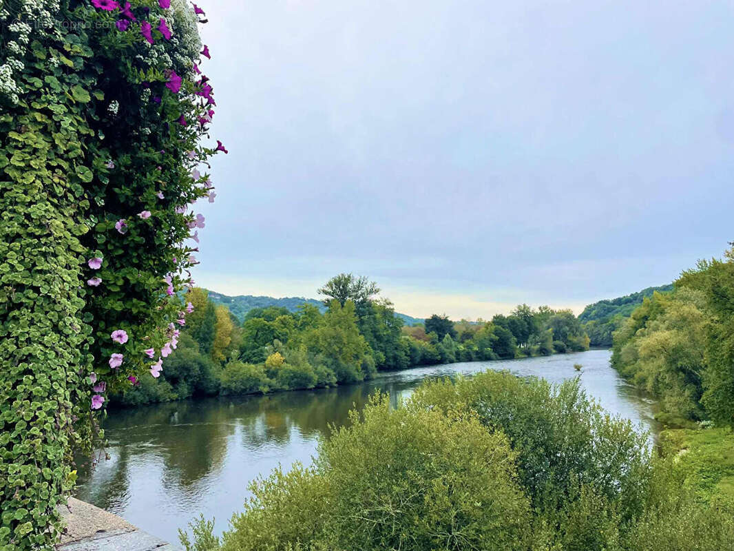 Commerce à ALTILLAC