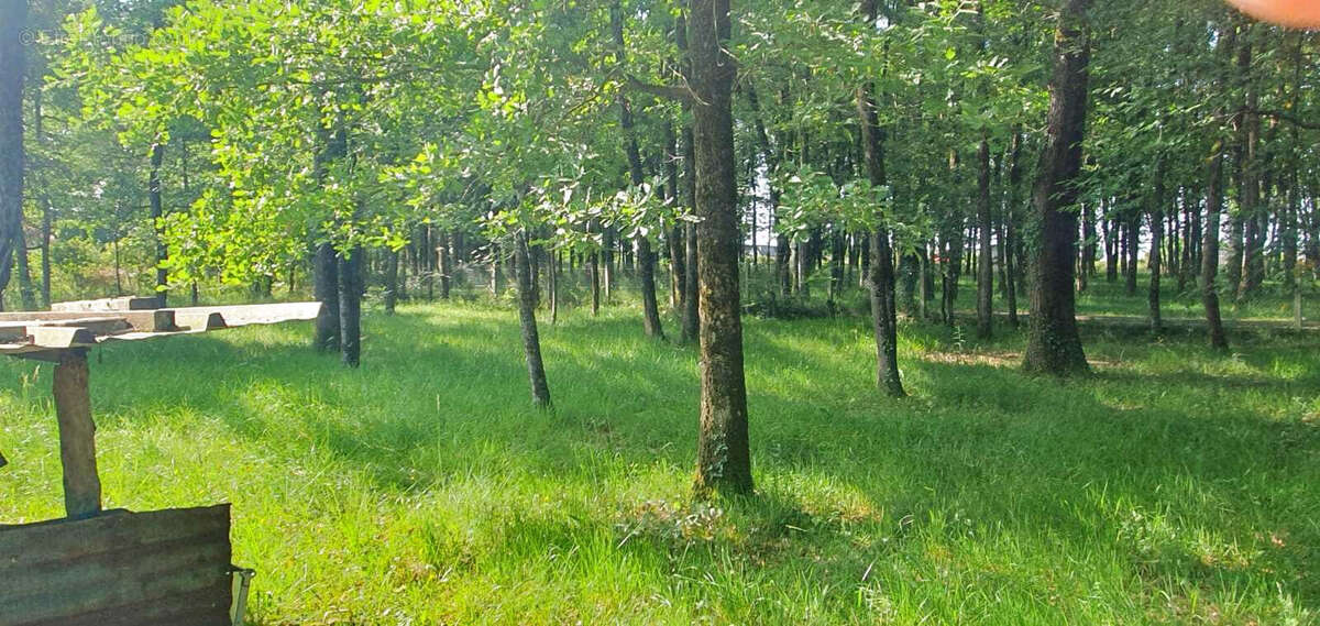 Maison à VOEUIL-ET-GIGET