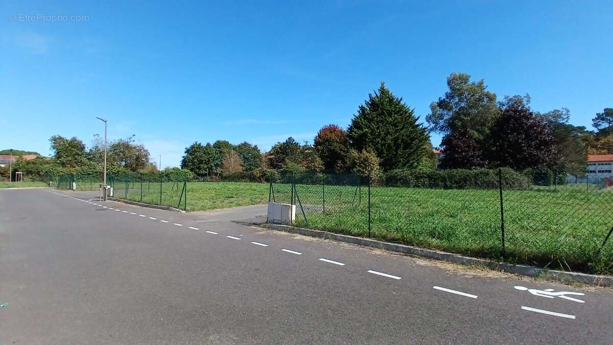 Terrain à DAX