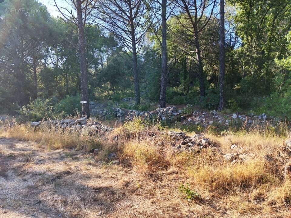 Terrain 1920 m² à Camps-La-Source  - photo 7