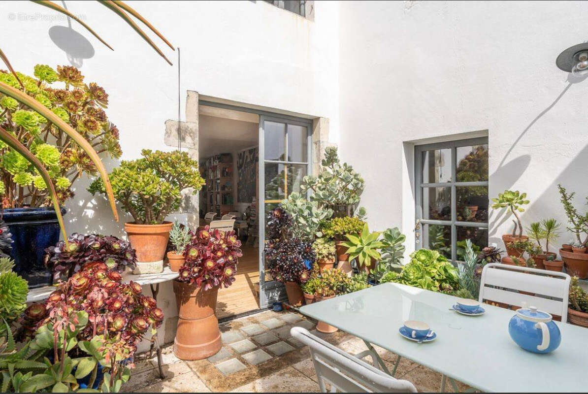 Commerce à ARS-EN-RE