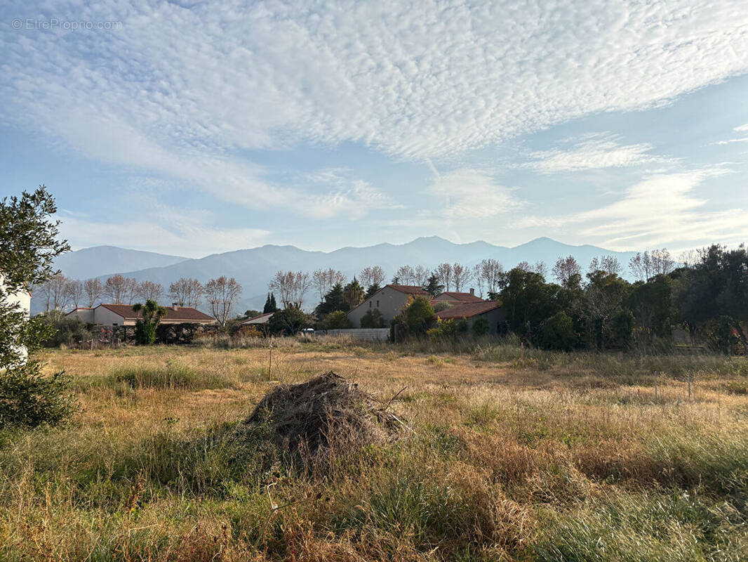 Terrain à MONTESQUIEU-DES-ALBERES