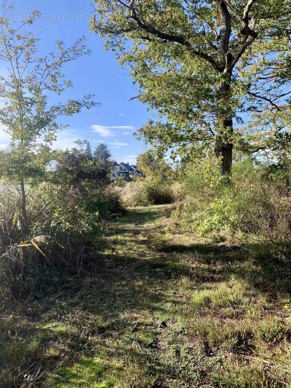 Maison à CHATEAUROUX