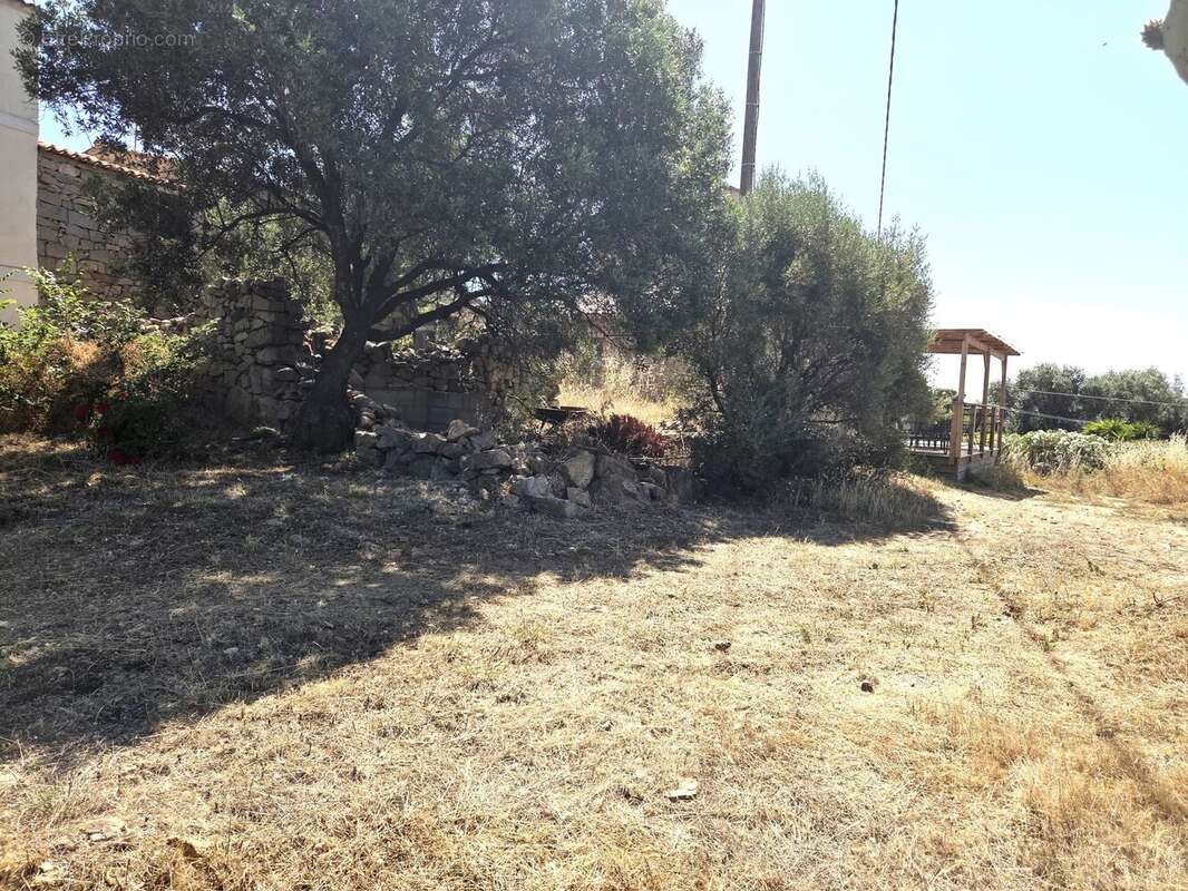 Terrain à MONACIA-D&#039;AULLENE