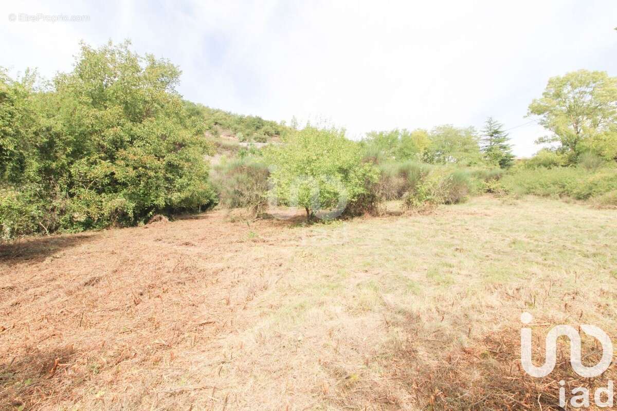 Photo 8 - Terrain à SAINT-AFFRIQUE
