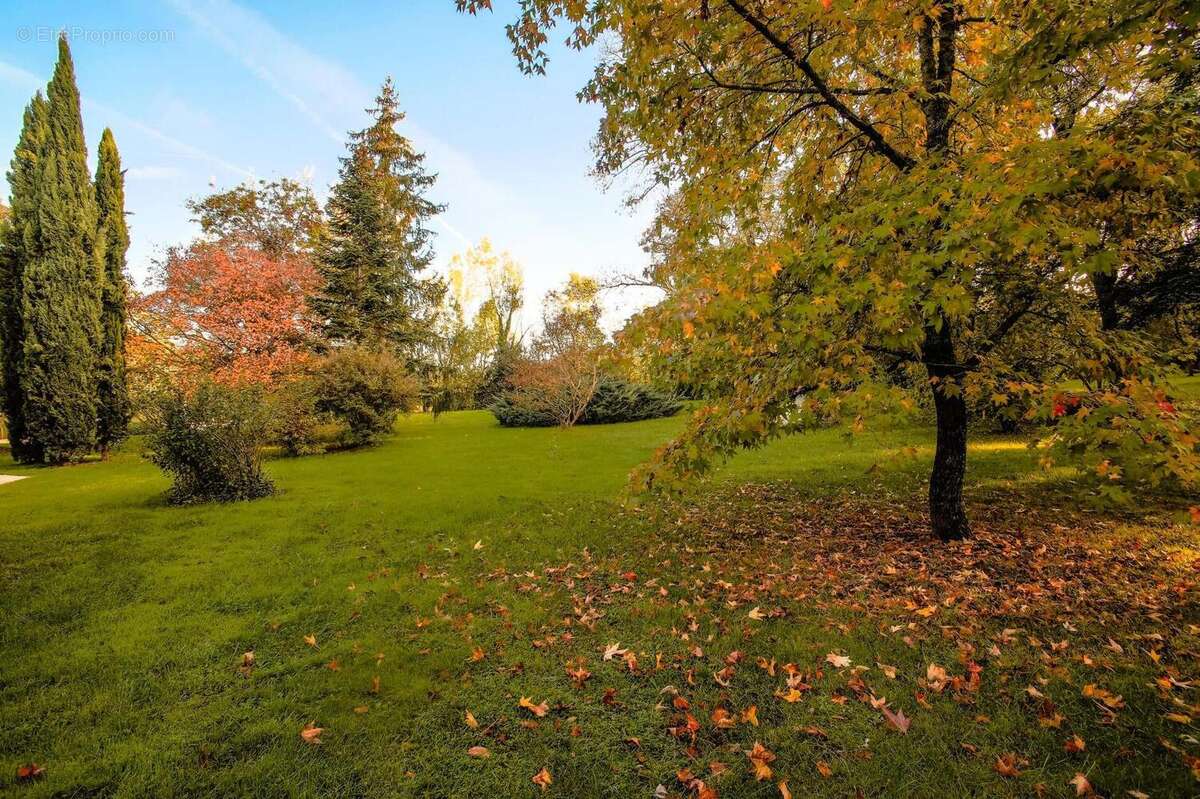 Gers - belle maison de campagne avec piscine - photo 18