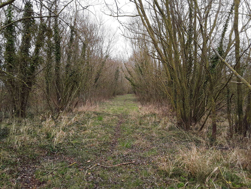 Terrain à SAINT-QUENTIN-EN-TOURMONT