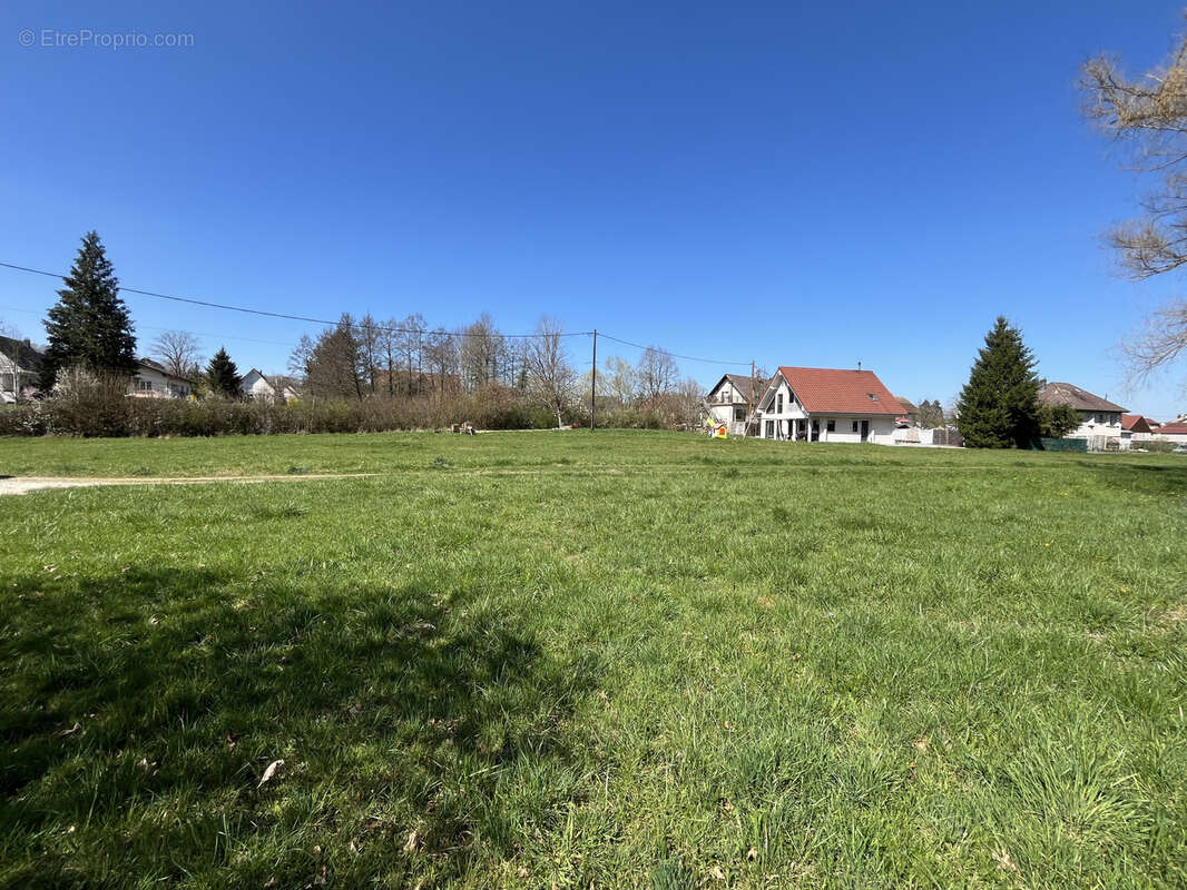 Terrain à HIRTZBACH