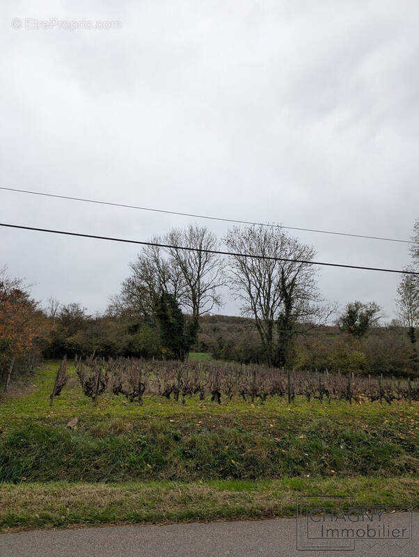 Terrain à CHASSEY-LE-CAMP
