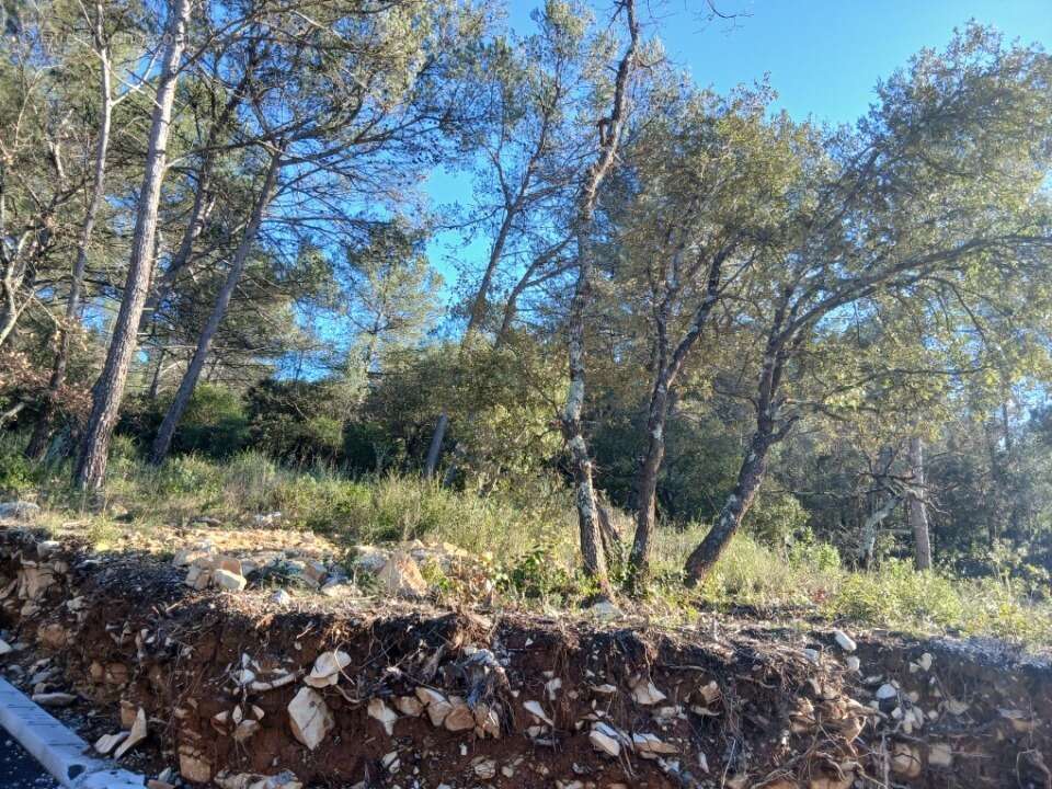 Terrain 857 m² à Rocbaron  - photo 2