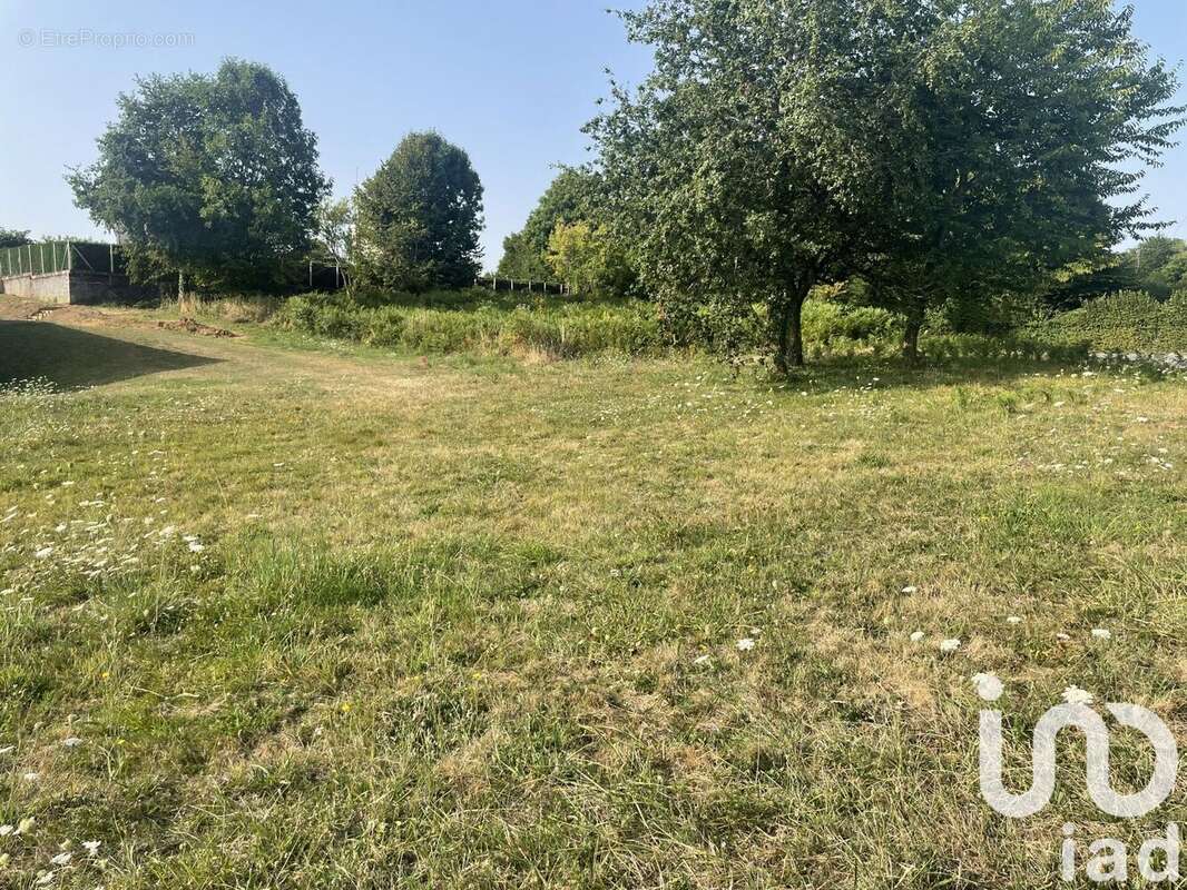 Photo 4 - Terrain à MAGNAC-BOURG