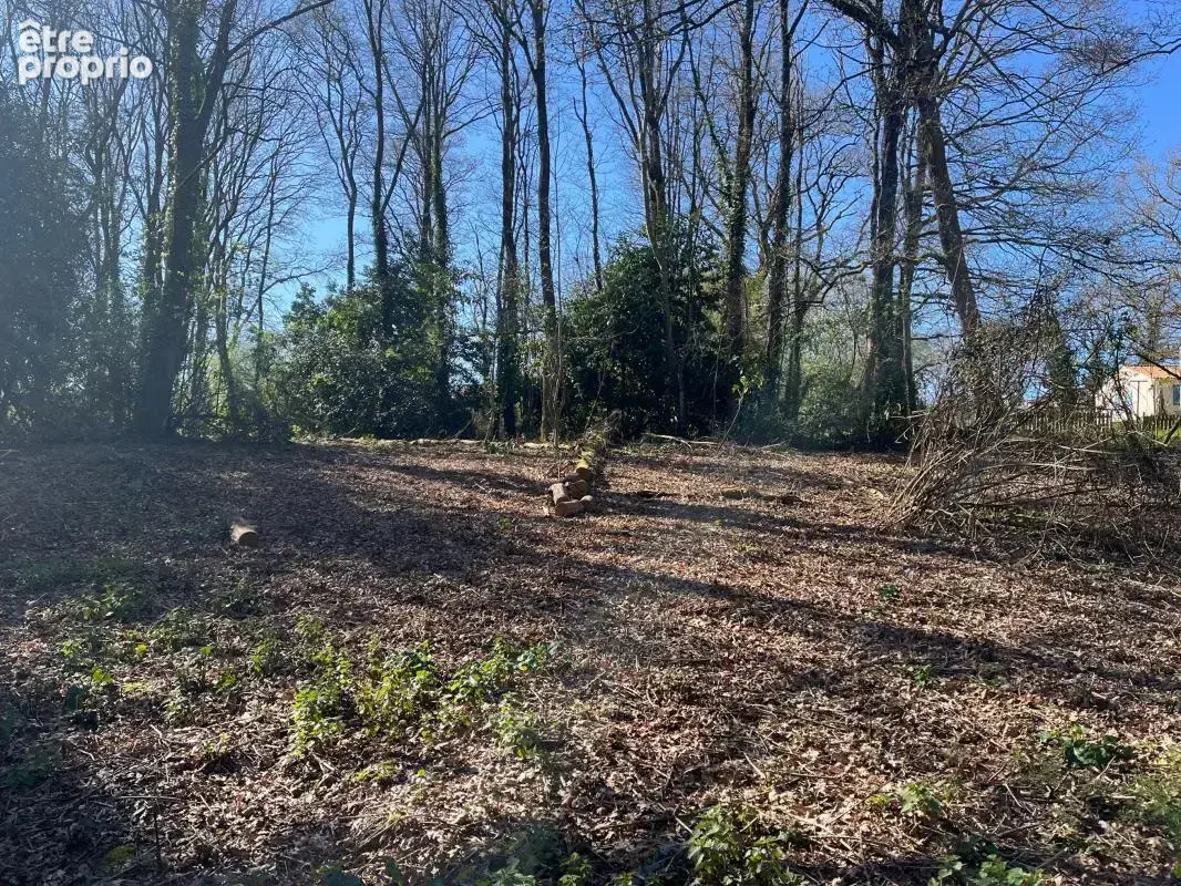 Terrain 1 205 m² à vendre à Saint-Georges-De-Pointindoux (85150) - photo 3