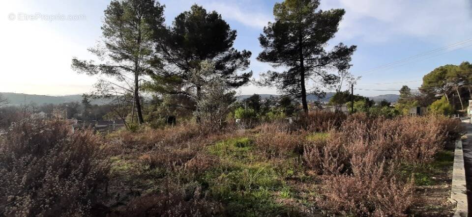 Terrain à DRAGUIGNAN