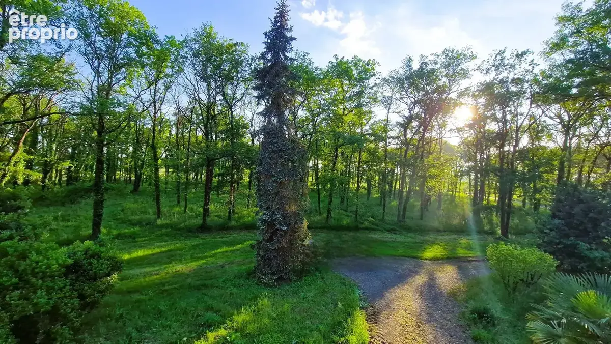 Grande Propriété Dans Son Parc Arboré à 45 Minutes De Tours - photo 3