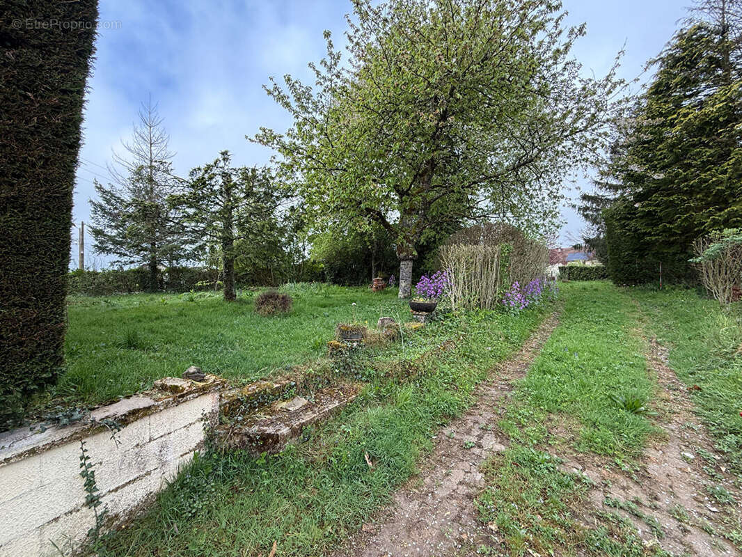 Terrain à BLETTERANS