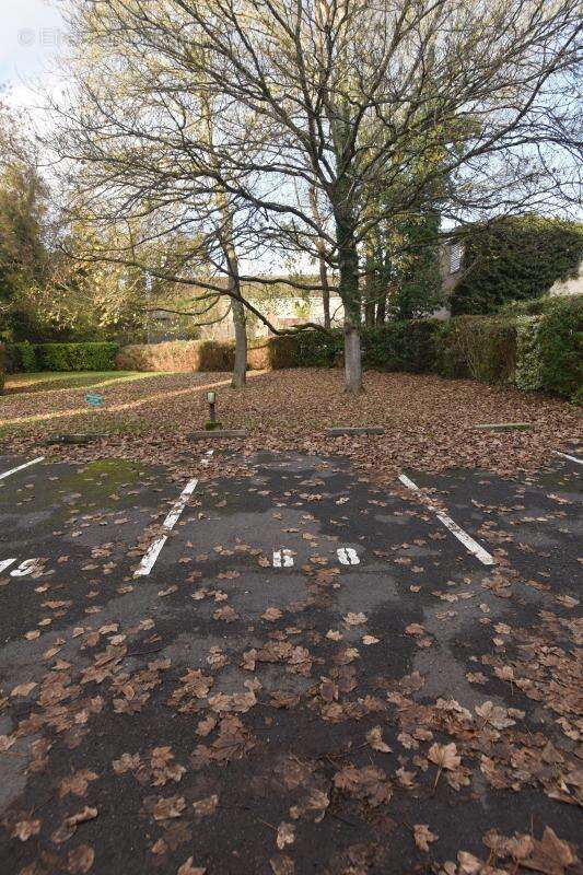 Appartement à COSNE-COURS-SUR-LOIRE