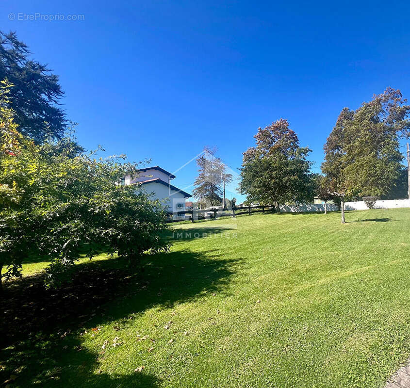 Terrain à HASPARREN