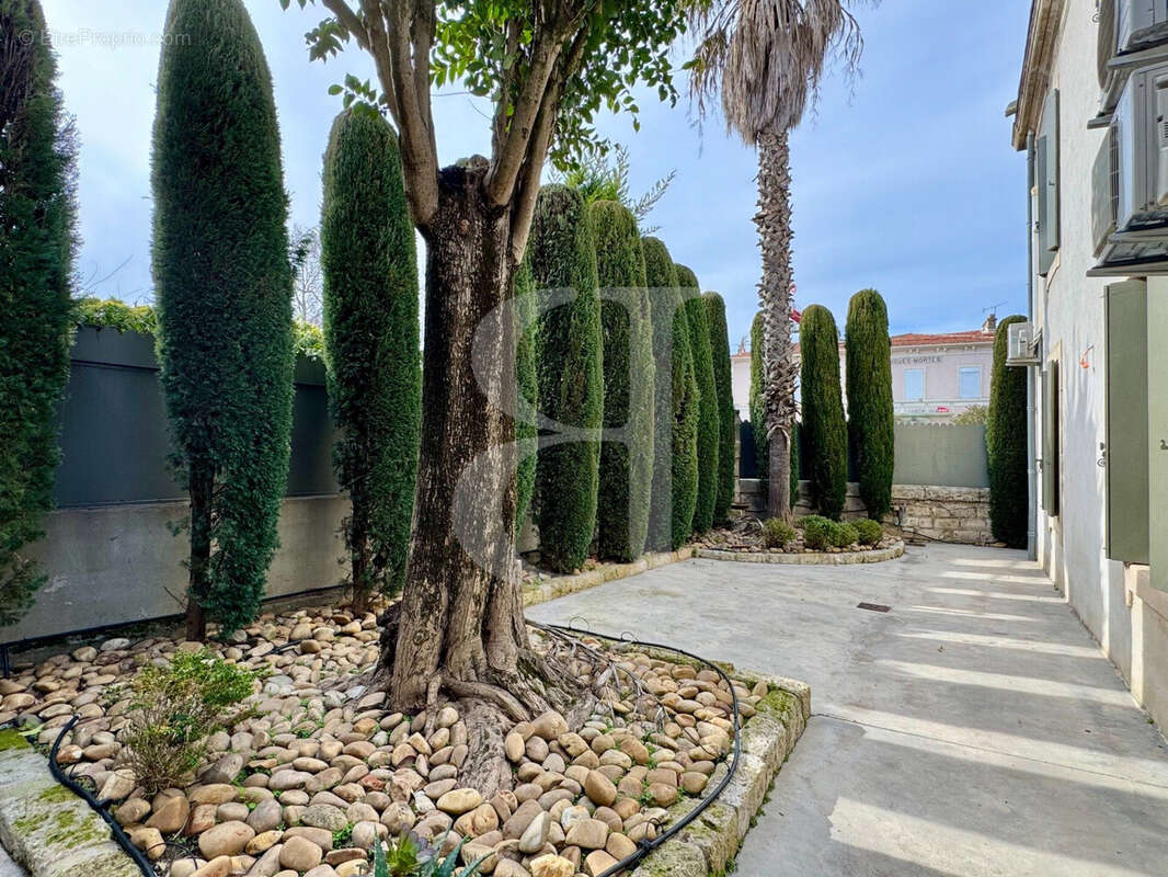 Maison à AIGUES-MORTES